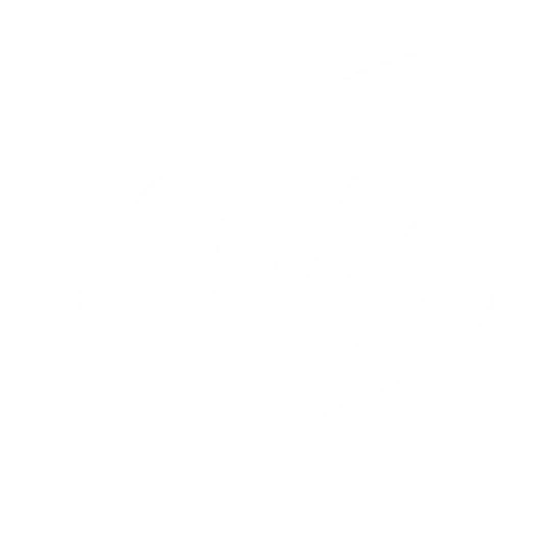 sealy-1-1